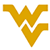 2010 West Virginia Football