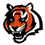 Cincinnati Bengals 2010 Preview