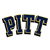 Pittsburgh Panthers