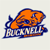 Bucknell Bison